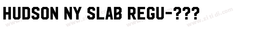 Hudson NY Slab Regu字体转换